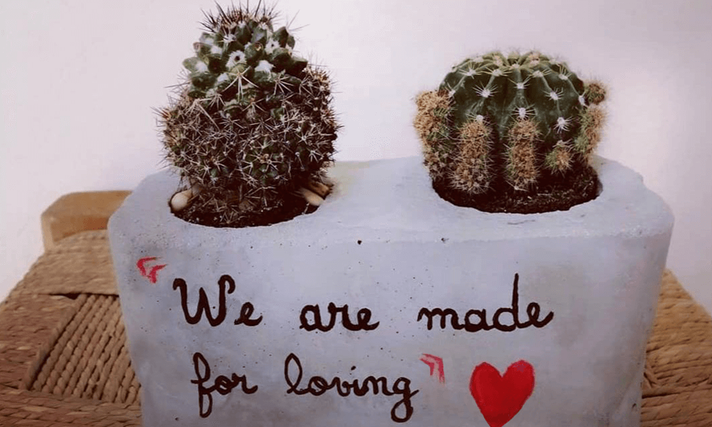 Lebanon Valentine 2021 Gifts #34: We Are Made For Love, Boho Cacti