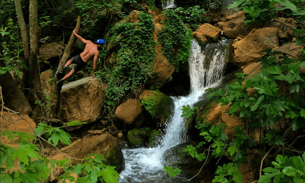 Meet lebanon's real life tarzan thestrollingtarzan on tree branch in lebanon