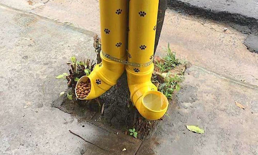 Cute decorated feeding stations pipes for stray cats in Lebanon